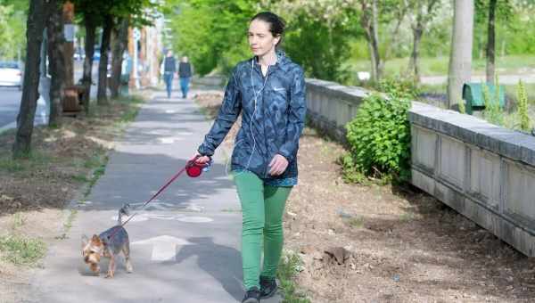 Тренды улиц: в чем знаменитости ходят на прогулку с собакой