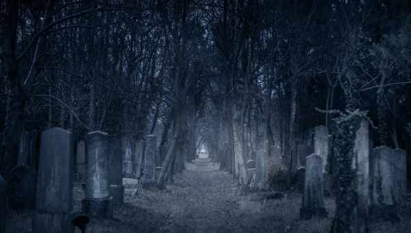 Поющие призраки заброшенного исландского кладбища Нес