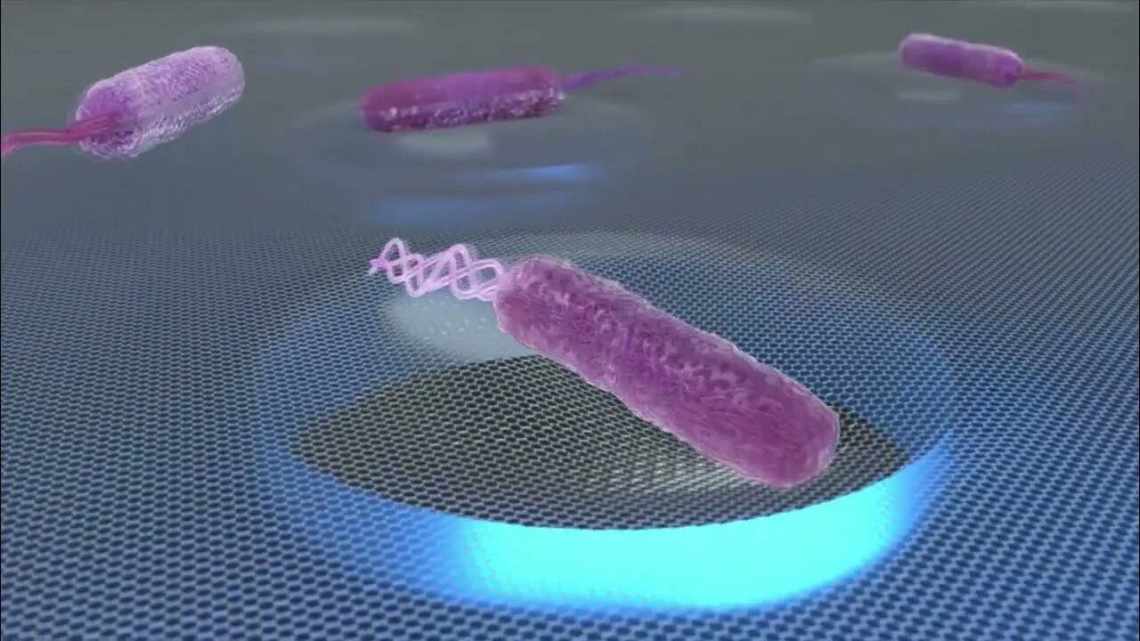 Созданы бактерии, способные справляться с неблагоприятными условиями