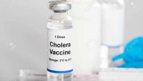Генномодифицированный рис станет новой вакциной от холеры