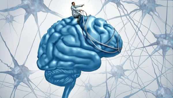Ловушка для ума: как простому человеку развить интеллект и прокачать свой мозг